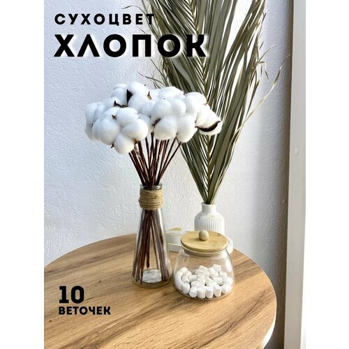 Цветочек хлопка для декора