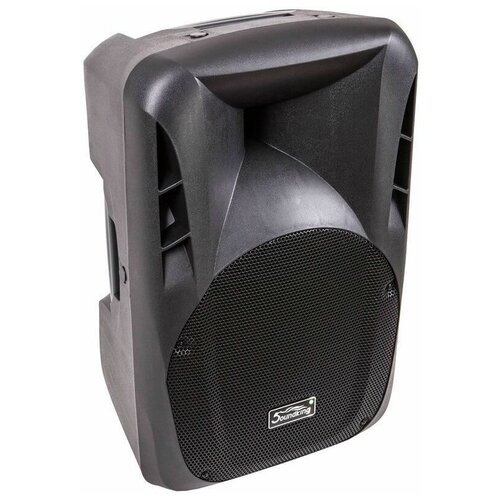 Активная акустическая система Soundking FPD12AD 3506700₽