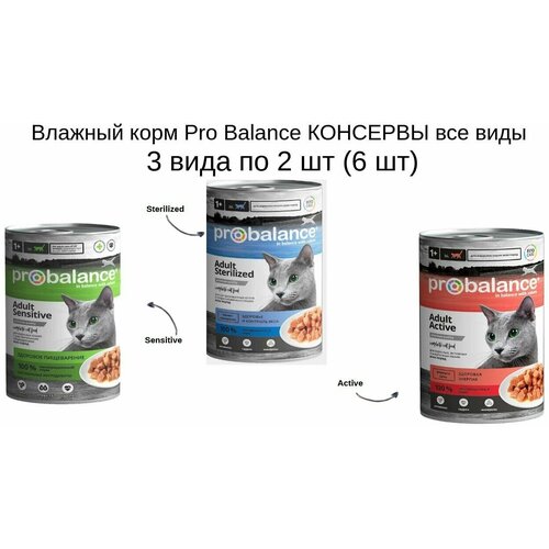 Влажный корм ProBalance консервы все виды 3 вида по 2 шт (6 шт)