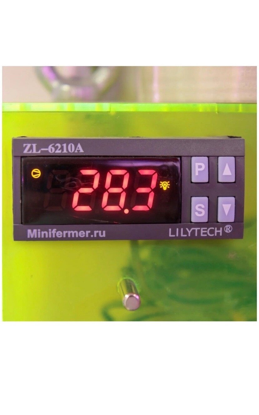 Терморегулятор LILYTECH ZL-6210A (7А) - фотография № 15