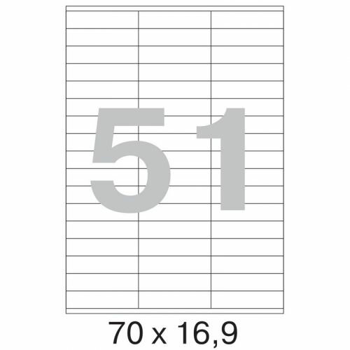 Этикетки самоклеящиеся PROMEGA OFFICE ProMEGA Label BASIC 70х169 мм / 51 шт на лист А4(100л