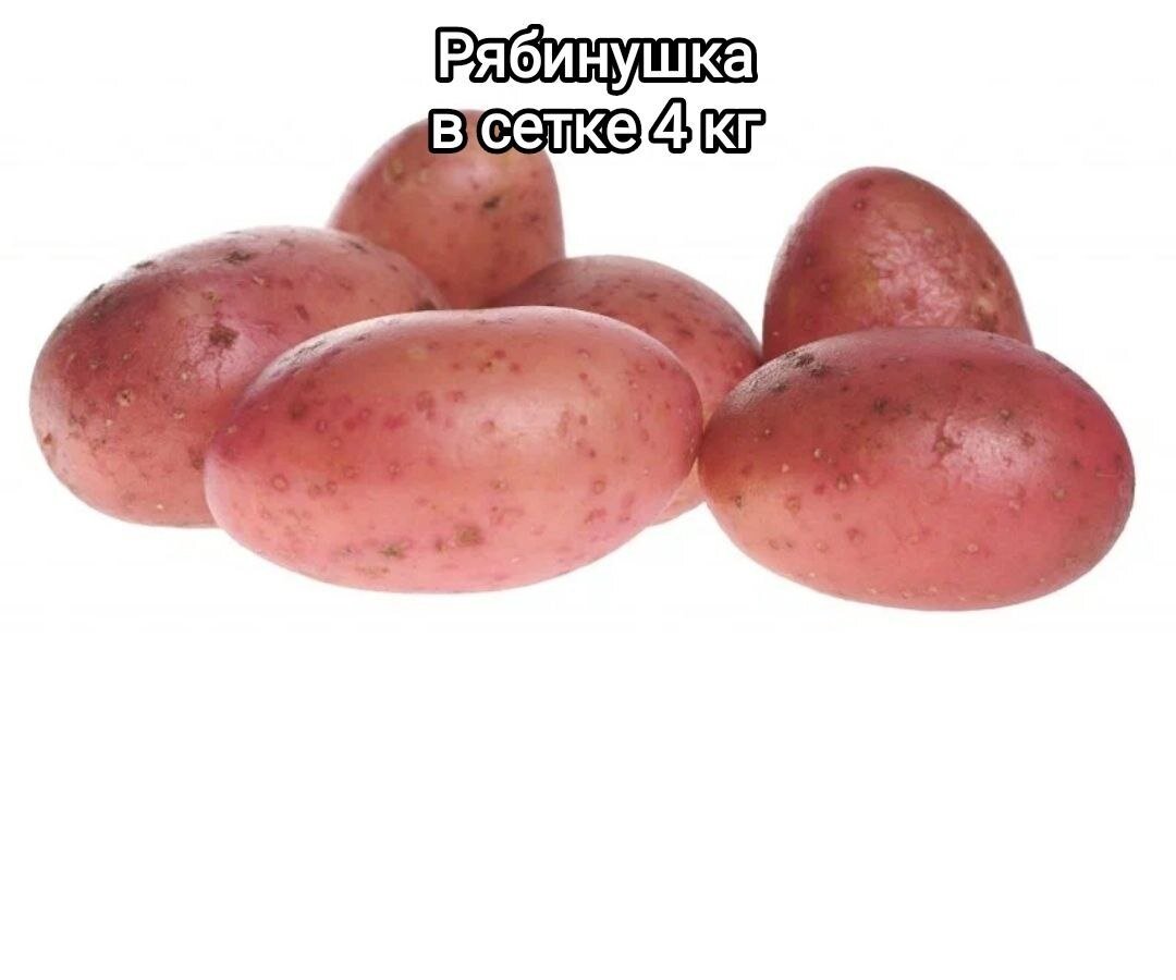 Картофель семенной Рябинушка 4кг