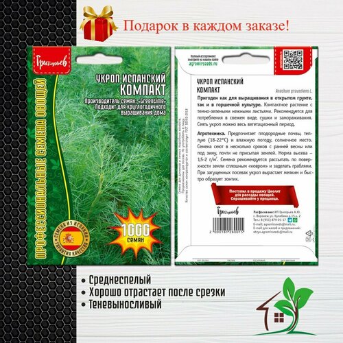 Укроп Испанский Компакт (2 упаковки)