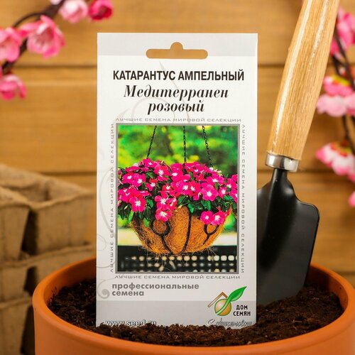 Семена цветов Катарантус амп. Медитерранен, розовый ,7 шт