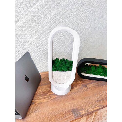 Настольное кашпо со мхом 3201₽