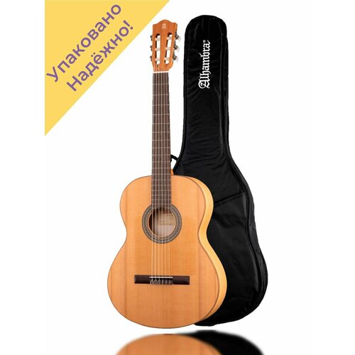 8.201 Flamenco Student Классическая гитара, накладка