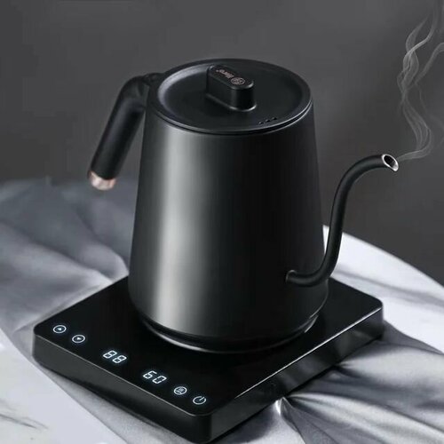 Чайник для заваривания кофе с тонким носиком ZeroHero 600мл 1500000₽