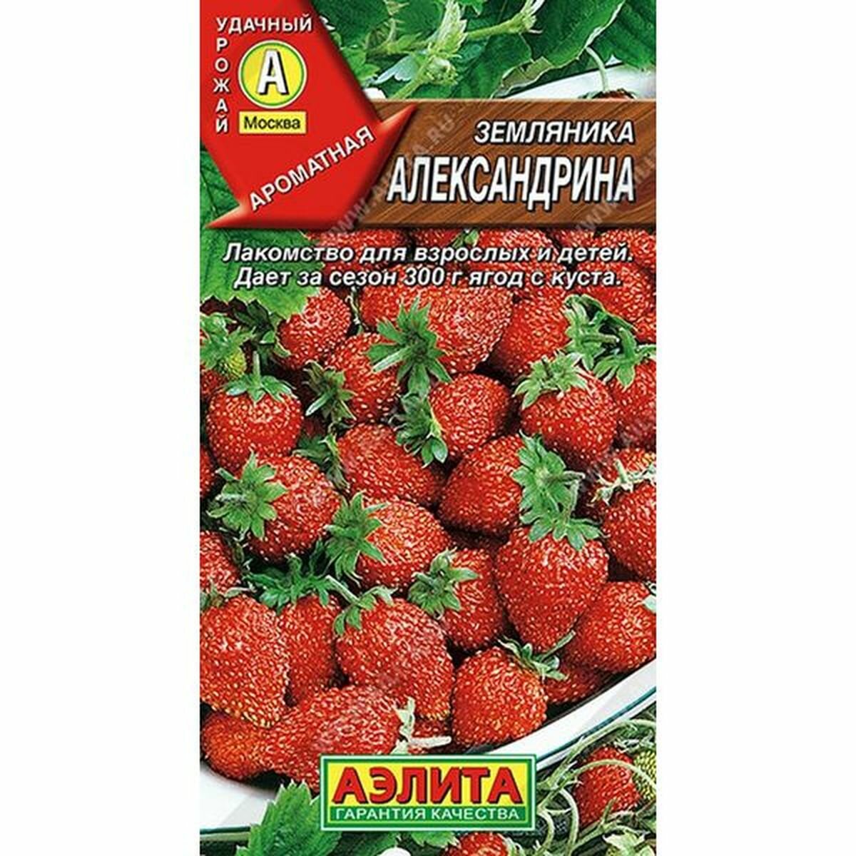 Семена Земляника Александрина Аэлита 1 пачка - 0.05г семян