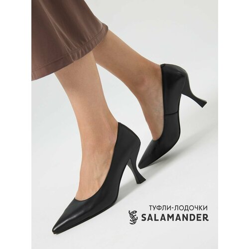 SALAMANDER 126-596A-1116