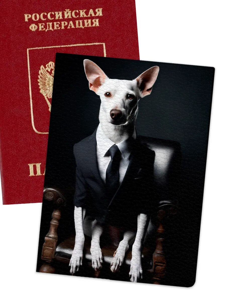 Обложка для паспорта