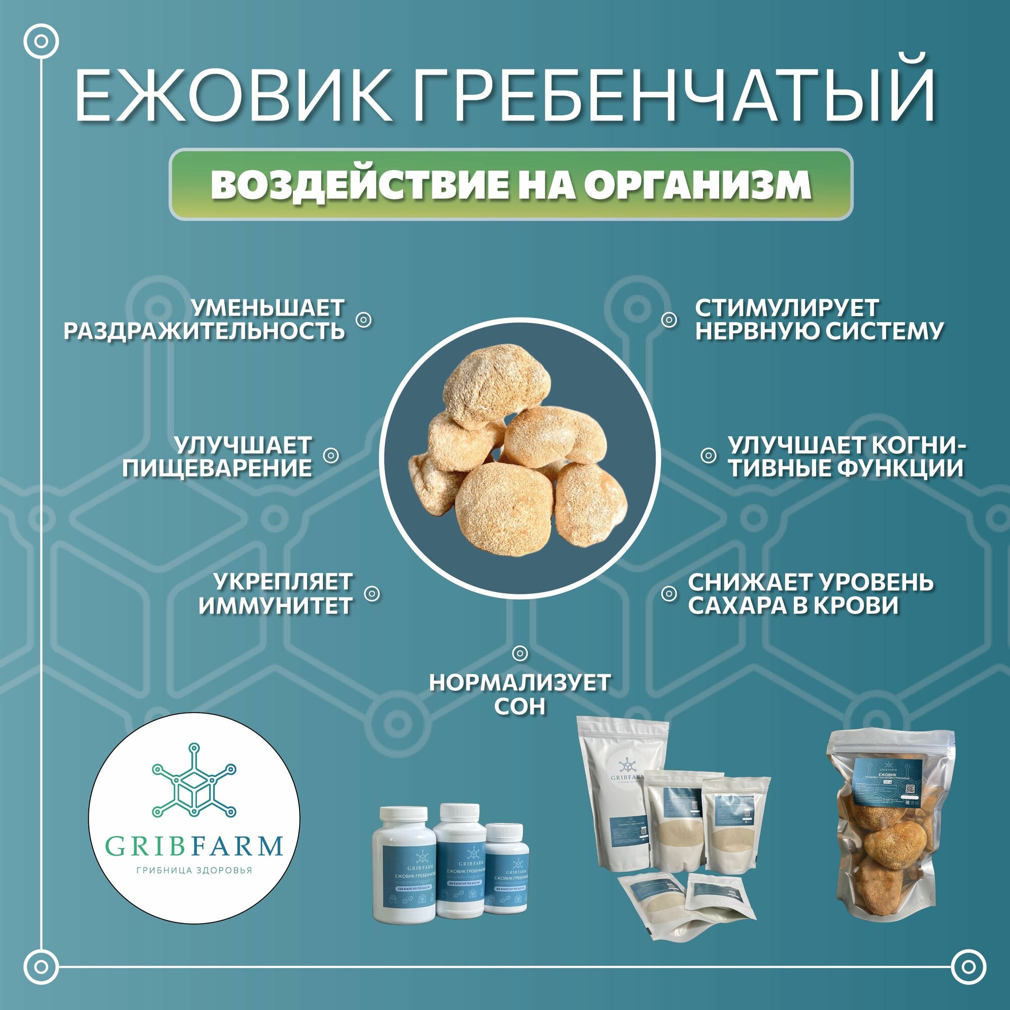 Картинки Мицелий Ежовика гребенчатого Lion's Mane GribFarm, 1кг, для микродозинга и ноотропов