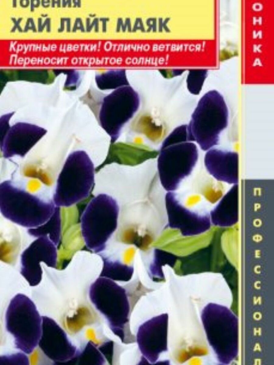 Семена Торения (серия Hi Lite) Хай лайт Маяк 4 шт Плазменные семена