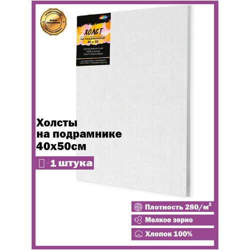 Color Kit / Холст для рисование /Холст грунтованный на подрамнике 280г/м, 40х50 PNX4050