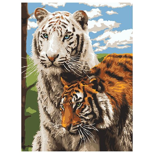 фото Lori набор для раскрашивания по номерам (на картоне) 40 х 30 см верные друзья ркн/ф-253 1 шт.