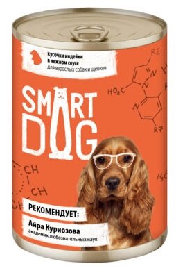 Smart Dog консервы Консервы для взрослых собак и щенков кусочки индейки в нежном соусе 22ел16 43721 0,24 кг 43721 (2 шт)