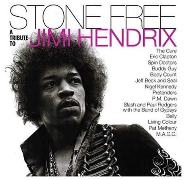 Various Artists Various Artists - Stone Free (a Tribute To Jimi Hendrix) (colour, 2 LP) Warner Music - фото №1