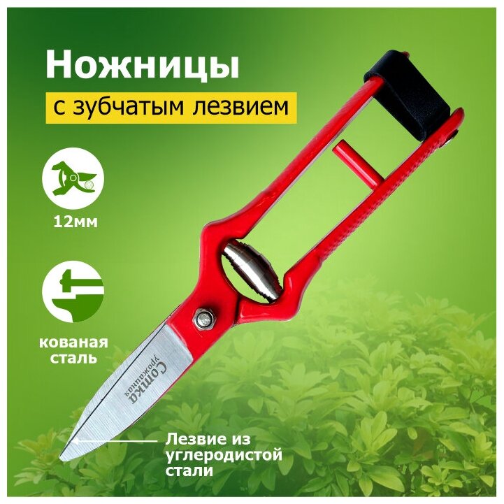 Ножницы садовые 200 мм с зубчатым лезвием `Урожайная сотка` PS3601