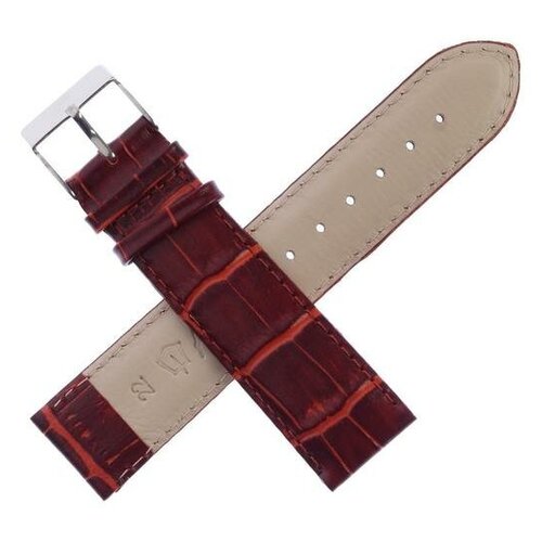 фото Ремешок для часов, мужской, 22 мм, запряжник 80 мм, горт 120 мм, натуральная кожа, тёмно-коричневый ardi