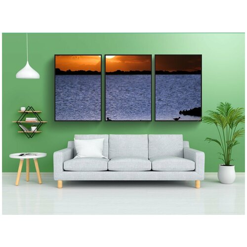 фото Набор модулных постеров для интерьера "венесуэла, llanos, белая ходуля" 60x90 см. в тубусе, без рамки lotsprints