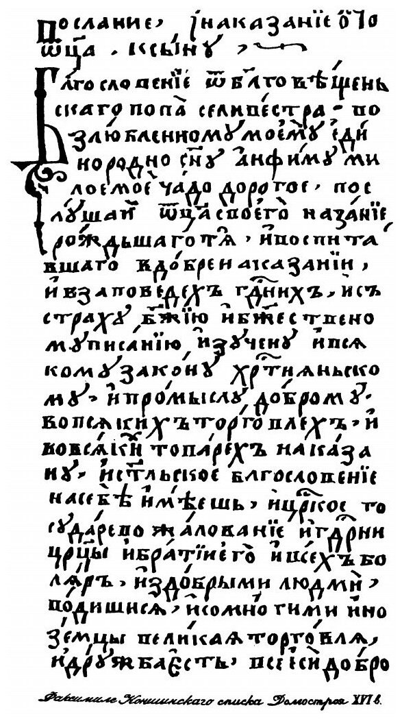 Книга Домострой Сильвестровского Извода, пособие при Изучении Русской литературы - фото №7