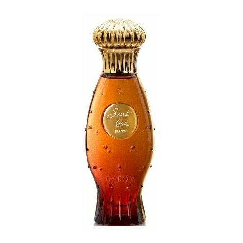 Caron Secret Oud парфюмерная вода 100мл oud парфюмерная вода 5мл