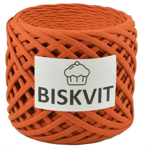 Трикотажная пряжа Biskvit Курага трикотажная пряжа biskvit филадельфия