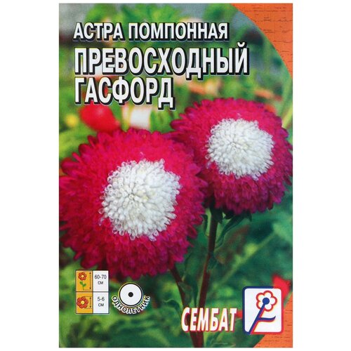 Семена цветов Астра помпонная Превосходный Гасфорд, 0.1 г