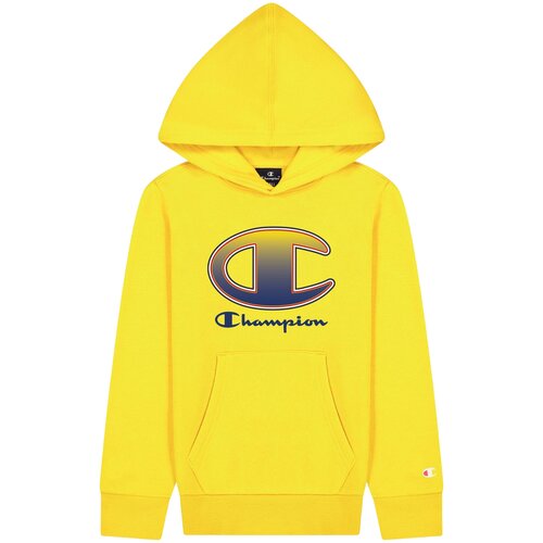 фото Толстовка champion hooded sweatshirt дети 305975-ys002 l