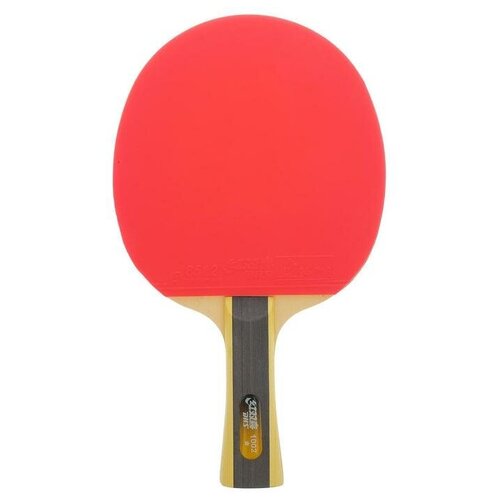 фото Ракетка для настольного тенниса dhs t1002, 1* звезда, для начинающих игроков, накладка 1,8 мм, коническая ручка mikimarket