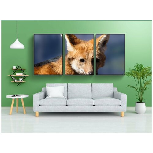 фото Набор модулных постеров для интерьера "дикая природа, гривистый волк, хищник" 60x90 см. в тубусе, без рамки lotsprints