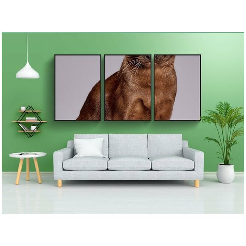 фото Набор модулных постеров для интерьера "животные, милый, кошка" 60x90 см. в тубусе, без рамки lotsprints