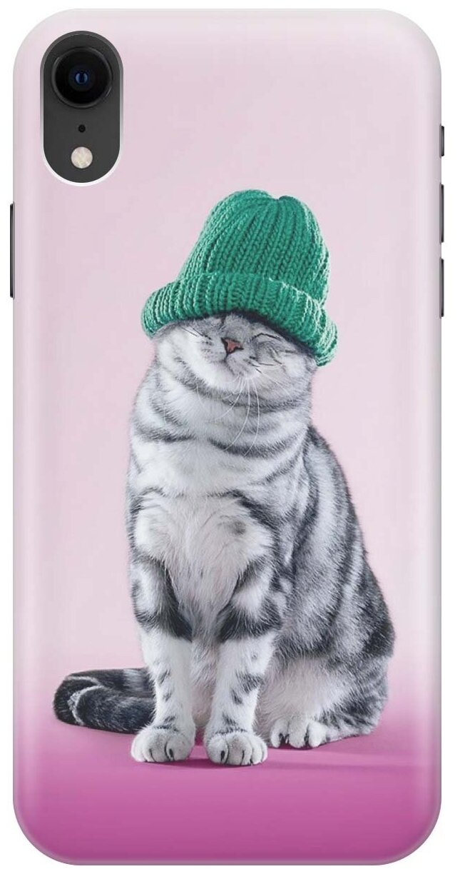 Силиконовый чехол на Apple iPhone XR / Эпл Айфон Икс Эр с рисунком "Кот в зеленой шапке"