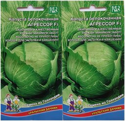 "Капуста Агрессор F1, 2 упаковки по 12 семян, Самая популярная (Уральский Дачник)"