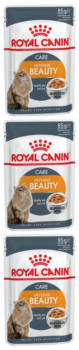 Пауч Royal Canin Intense Beauty (в желе) 85гр/3шт