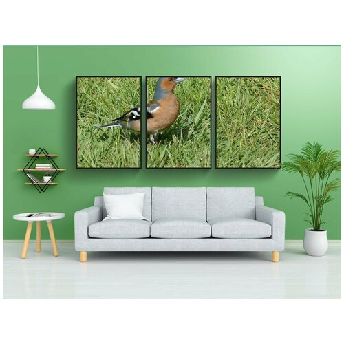 фото Набор модулных постеров для интерьера "птица, животное, природа" 60x90 см. в тубусе, без рамки lotsprints