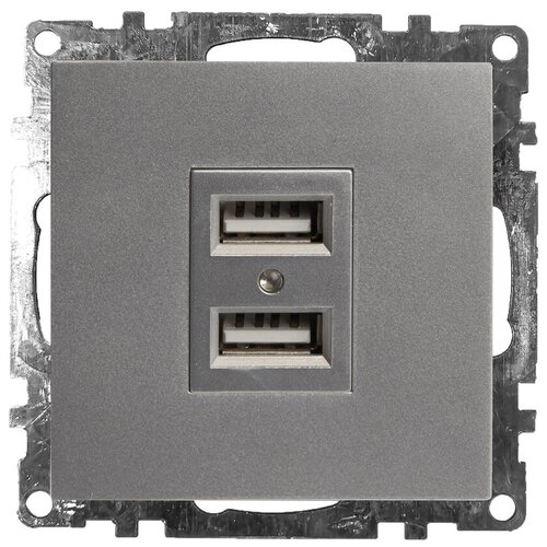 Статический преобразователь: Зарядное устройство: USB-розетка (механизм), GLS10-7115-03, серебро