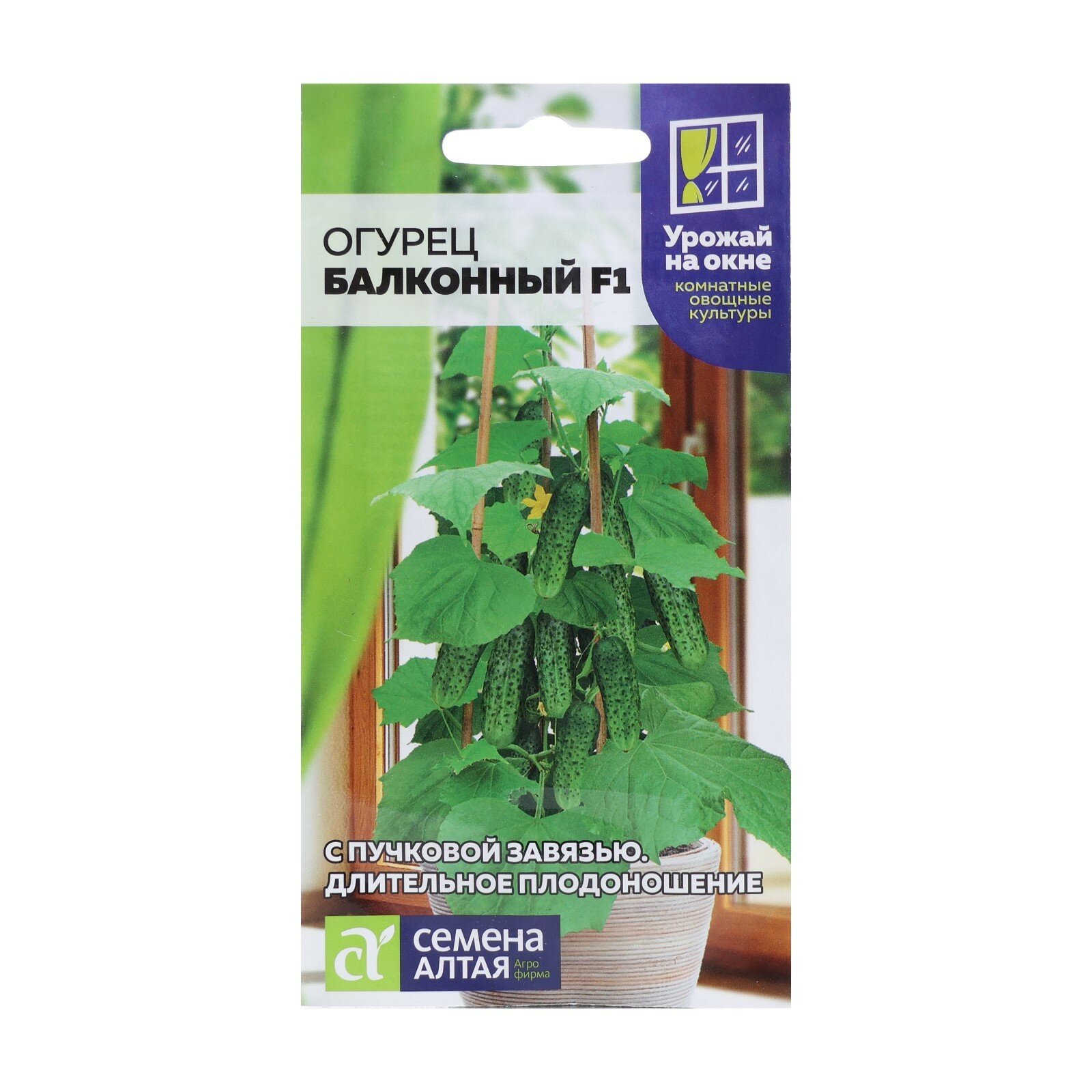 Семена огурца 