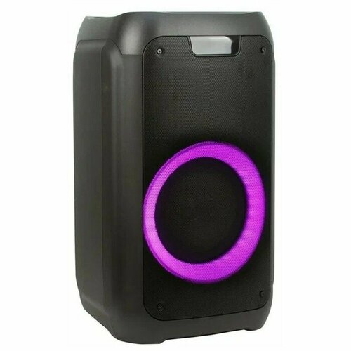 ELTRONIC Портативная караоке система ELTRONIC DANCE BOX 300 20-01 30 Вт TWS AUX USB BT черная 1574500₽