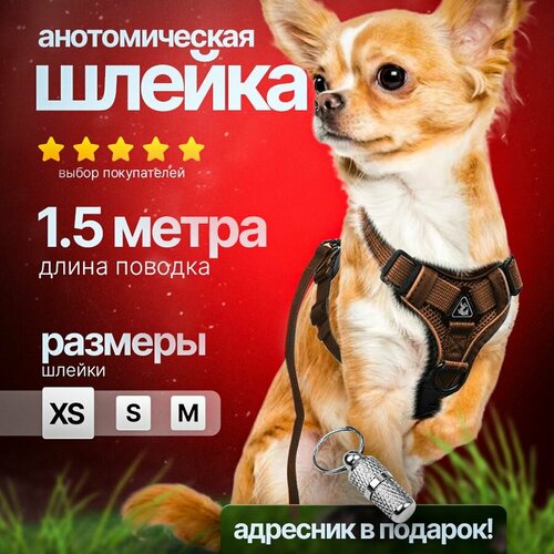 Шлейка для собак мелких пород с поводком коричневая, размер XS PetPaw