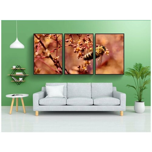 фото Набор модулных постеров для интерьера "пчела, насекомое, цветочная пыльца" 60x90 см. в тубусе, без рамки lotsprints