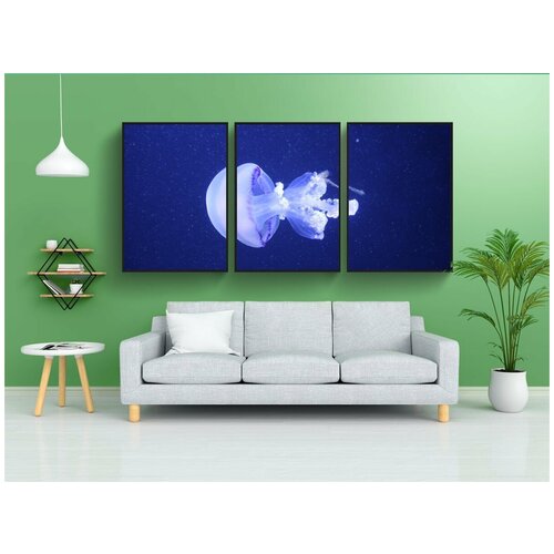 фото Набор модулных постеров для интерьера "медуза, животные, животное" 60x90 см. в тубусе, без рамки lotsprints