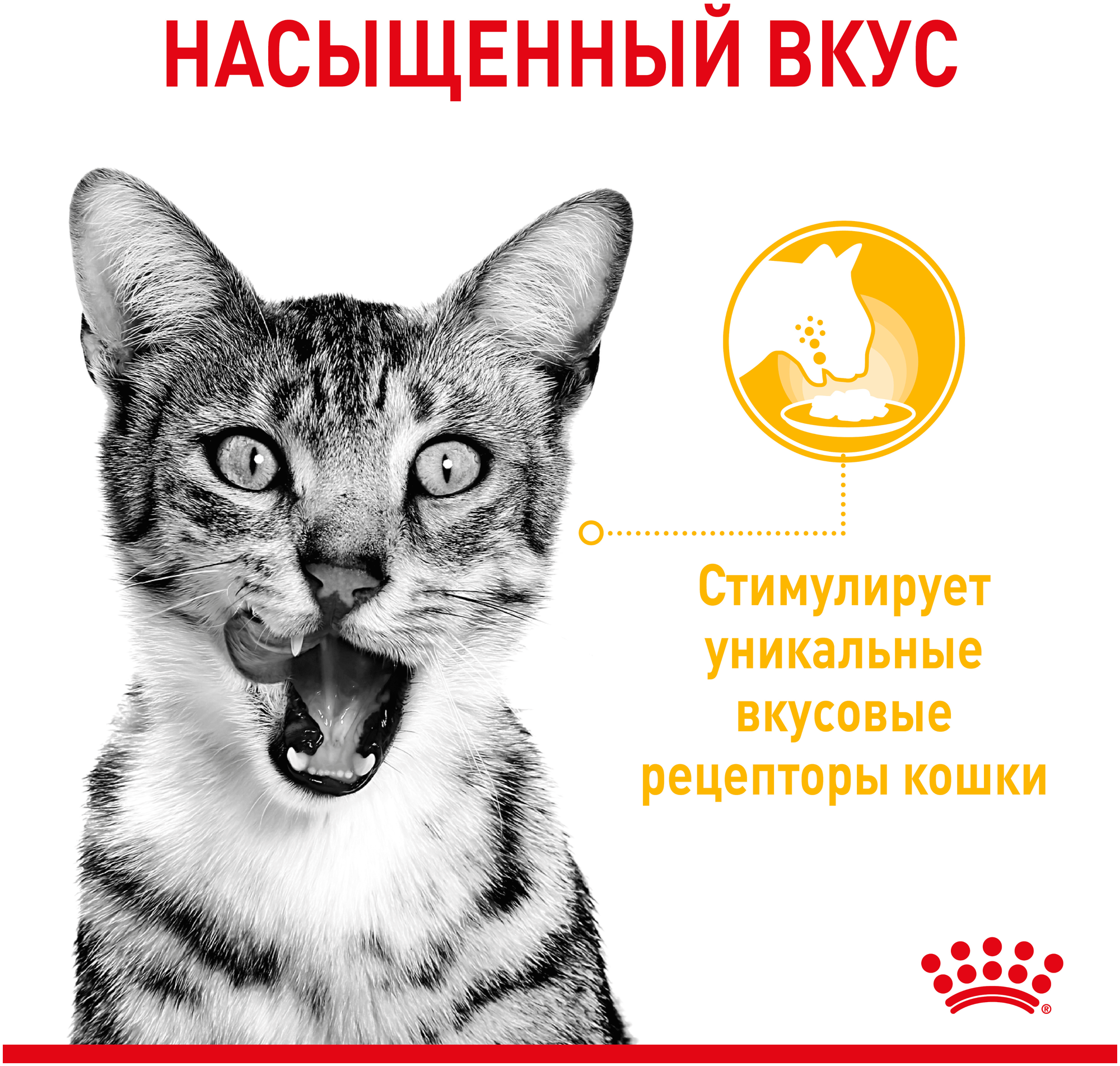 Влажный корм для кошек Royal Canin Sensory Taste стимулирующий вкусовые рецепторы 85 г (кусочки в соусе) - фотография № 4