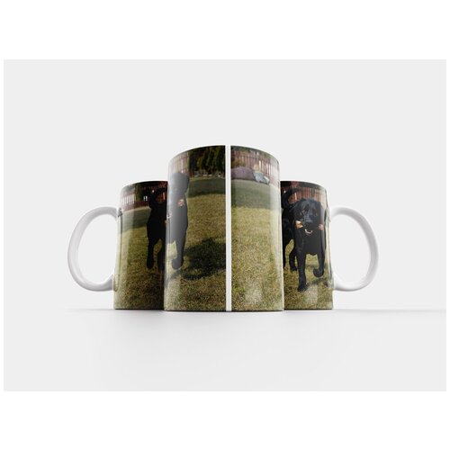 фото Кружка "собака, животное, вклад" 320 мл lotsprints