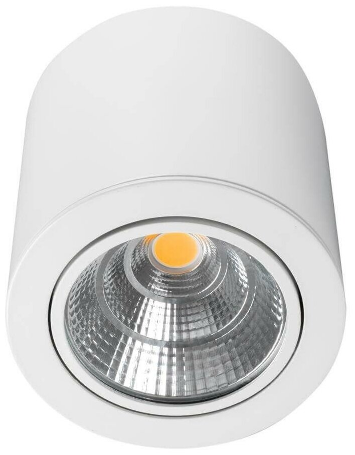 Arlight Потолочный светодиодный светильник Arlight SP-Focus-R140-30W Day White 021428