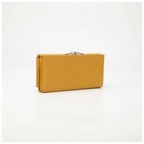 фото Кошелёк, отдел на магнитах, цвет жёлтый elstore