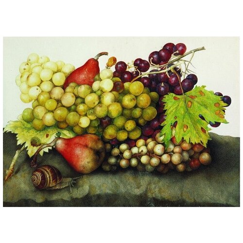 Репродукция на холсте Виноград (Peaches) №1 Гарцони Джованна 69см. x 50см.