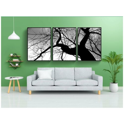 фото Набор модулных постеров для интерьера "дерево, верхушка дерева, ветви" 60x90 см. в тубусе, без рамки lotsprints