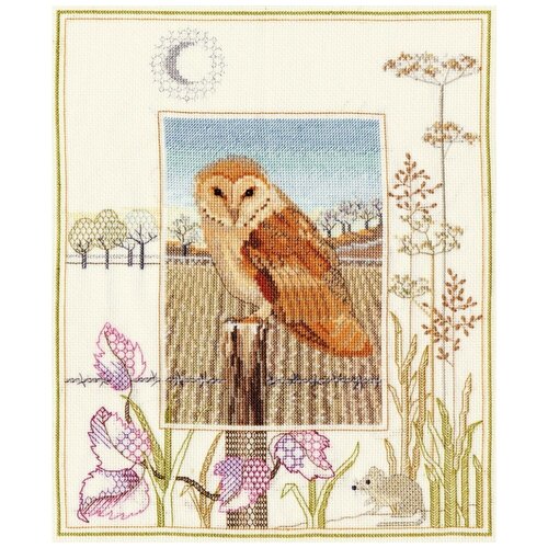 Набор для вышивания Derwentwater WIL3 Barn Owl петь не умею но люблю серия шуры муры наборы для вышивания крестом