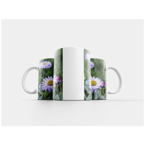 фото Кружка "цветок, маргаритка, природа" 320 мл lotsprints