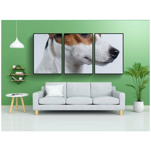 фото Набор модулных постеров для интерьера "собака, джек-рассел, терьер" 60x90 см. в тубусе, без рамки lotsprints
